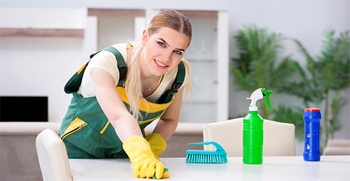 professional cleaner cleaning apartment furniture